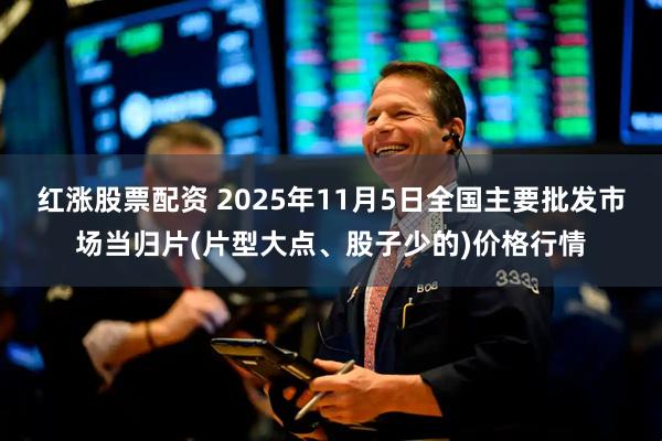 红涨股票配资 2025年11月5日全国主要批发市场当归片(片型大点、股子少的)价格行情