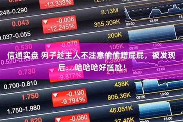 信通实盘 狗子趁主人不注意偷偷蹭屁屁，被发现后…哈哈哈好尴尬！