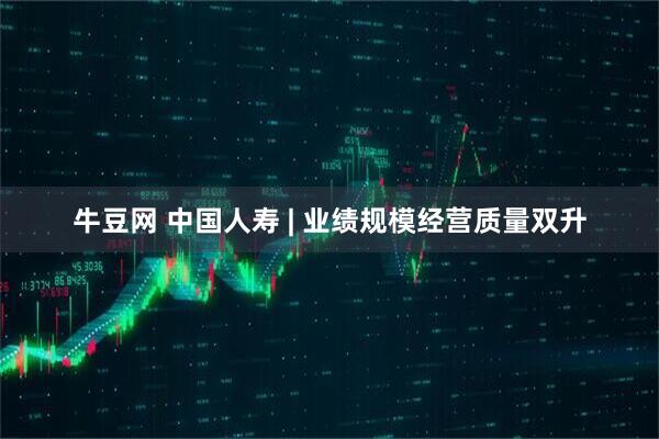 牛豆网 中国人寿 | 业绩规模经营质量双升